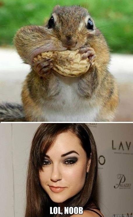 Sasha Grey pokopala vjevericu:D