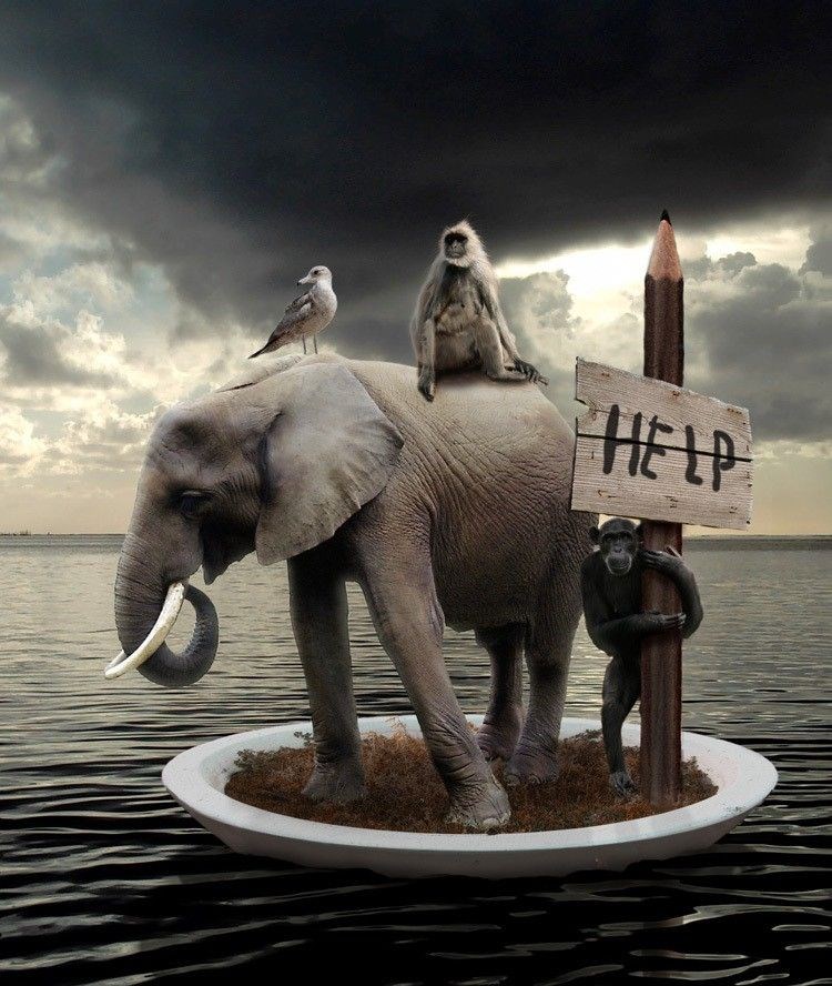 Divimo se lijepom planetu i pretvaramo ga u parkiralište