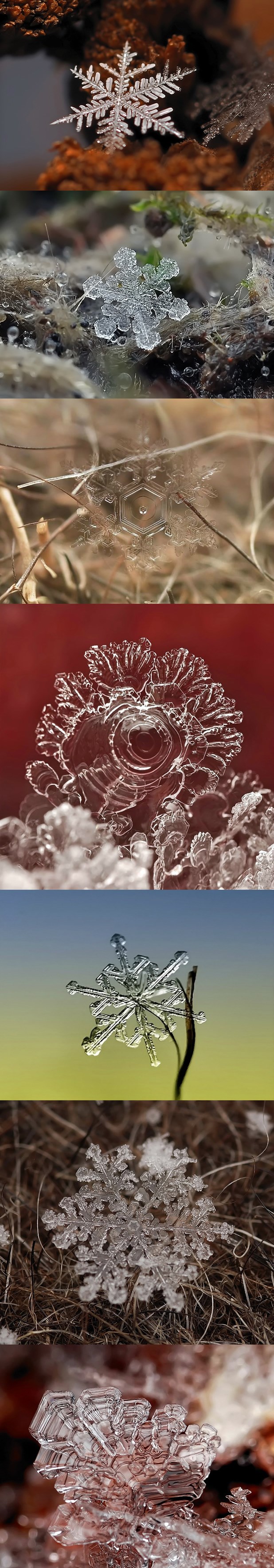 Kako izgleda snježna pahuljica - makro fotke