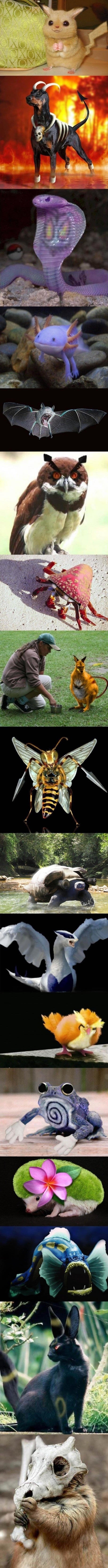 Ovako bi izgledali "pravi" Pokemoni