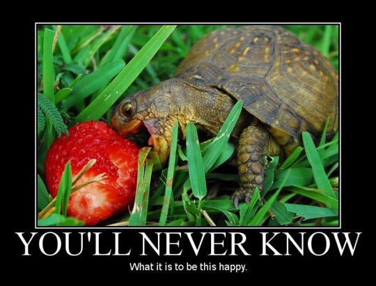 Većina vas nikad neće upoznati ovakvu sreću