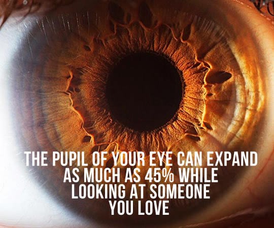 Oči odaju kad nekoga voliš