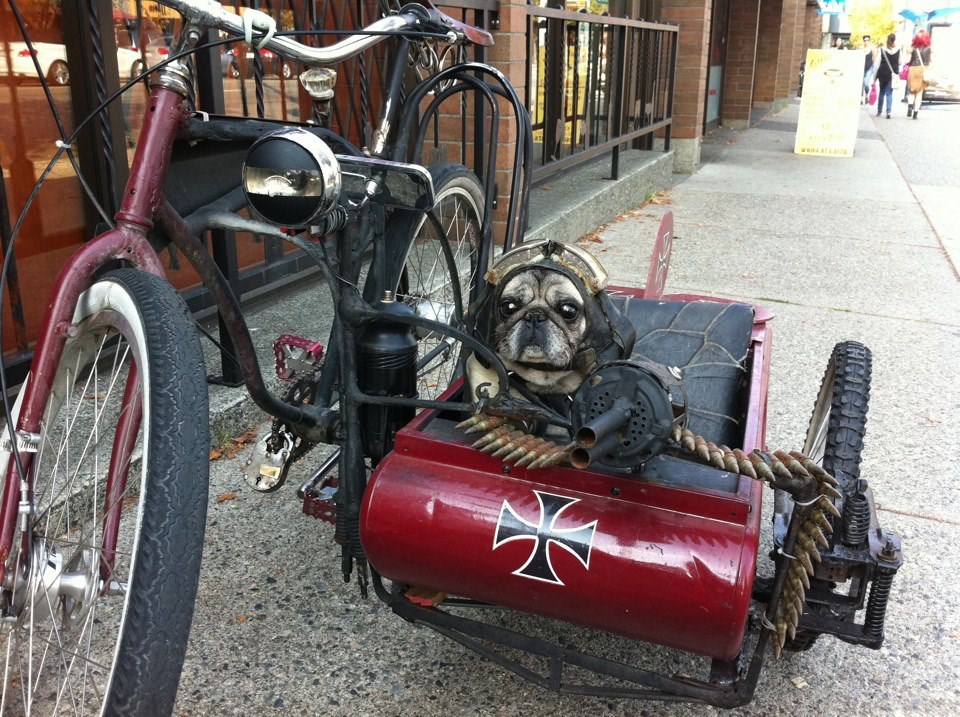 Mali bajkerski mitraljezac čeka vlasnika