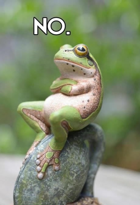 Žaba odbija suradnju