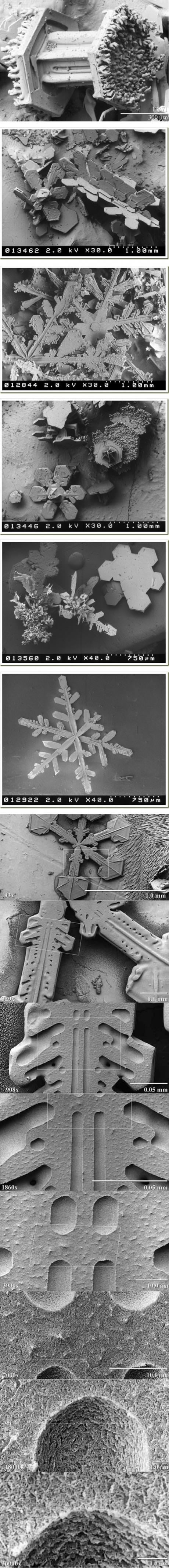 Snježne pahuljice pod mikroskopom