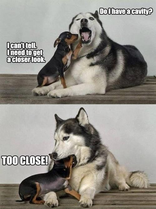 Budalo, vidim šta si prošli tjedan imao za večeru!