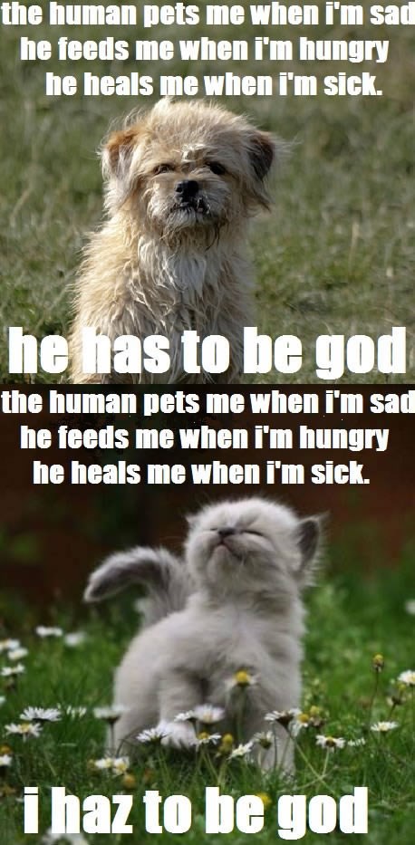 evo zašto su vještice voljele mačke:P