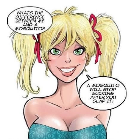 Razlika između napaljene plavuše i komarca?