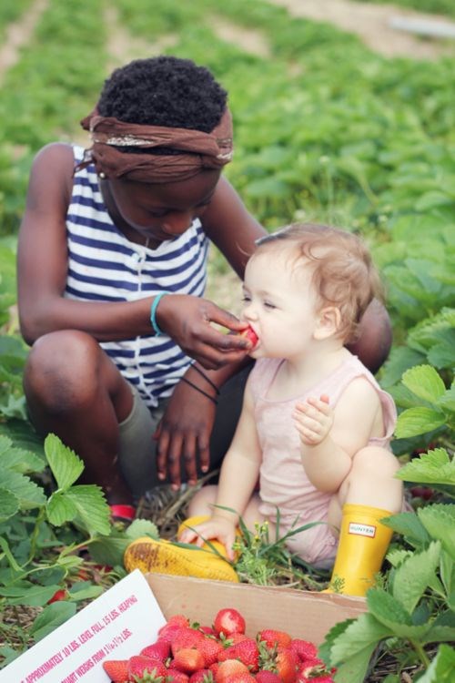 Jedini pravi način za uživanje u jagodama