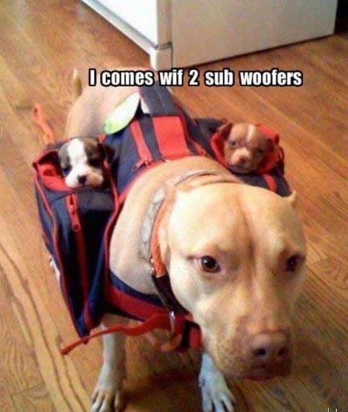 Mali "woof wooferi":D