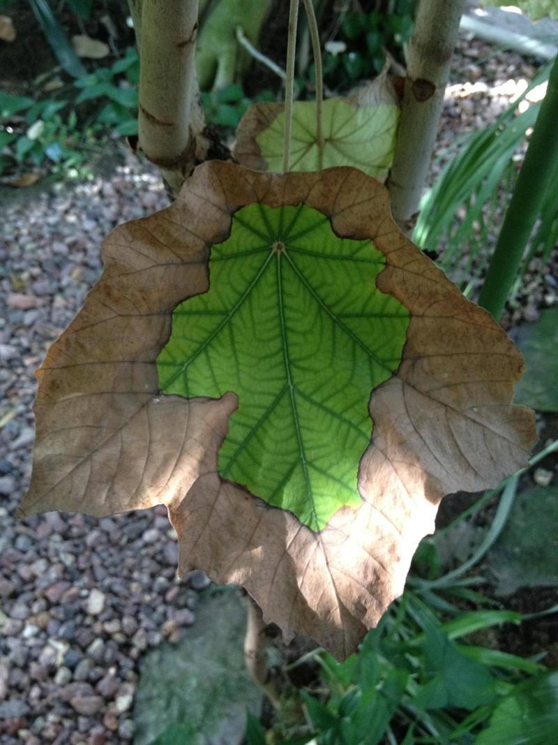 List se i dalje ne da godinama