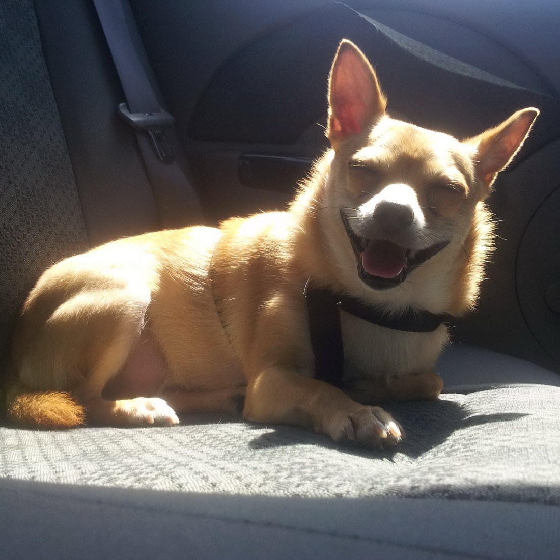 Odlazak na igranje u parkić