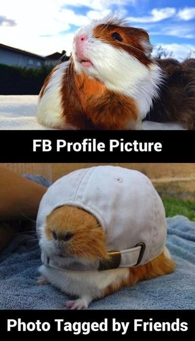 Frendovi ti uvijek tagiraju najgoru fotku