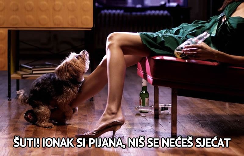 Napit se ko majka kraj napaljenog psa nije najideja