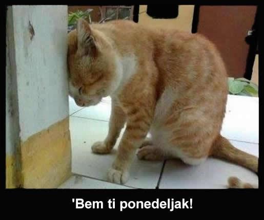 Ponedjeljak je smrt za produžene vikende