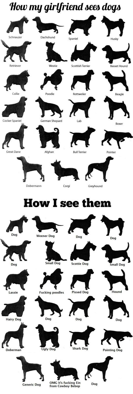 Kako pravi muškarac prepoznaje pse