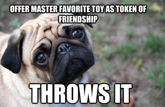 Donesem ti lopticu, ti je baciš... čudovište jedno!