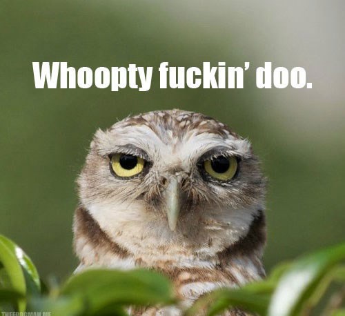 Sjetiš se da je vikend, a onda pogledaš kroz prozor