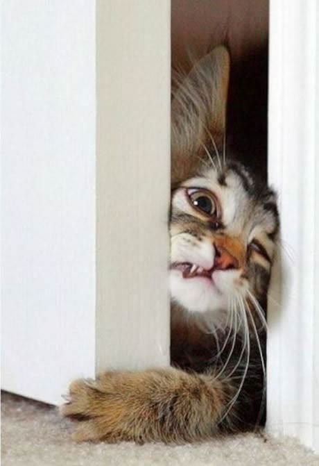 znam da jedete bez mene, čula sam!!!!