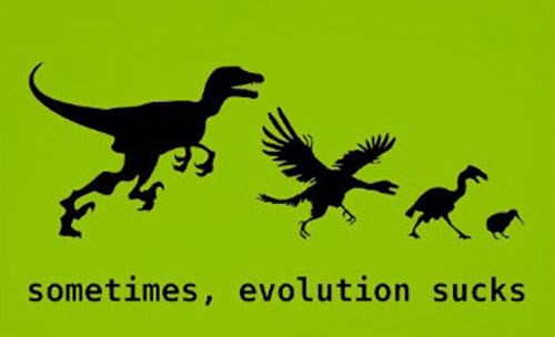 Evolucija te nekad baš zajebe