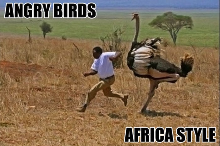 Otkriven pravi izvor inspiracije za Angry Birds