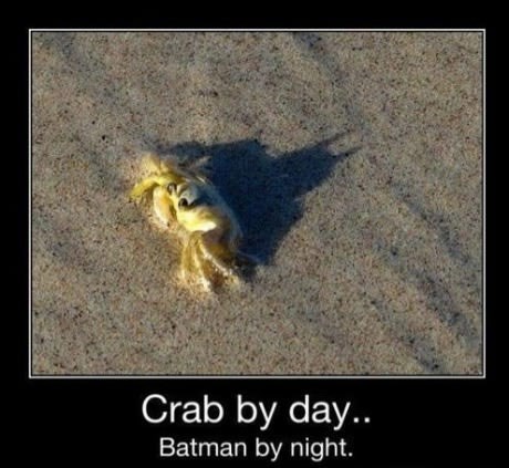 Tajni život jednog raka