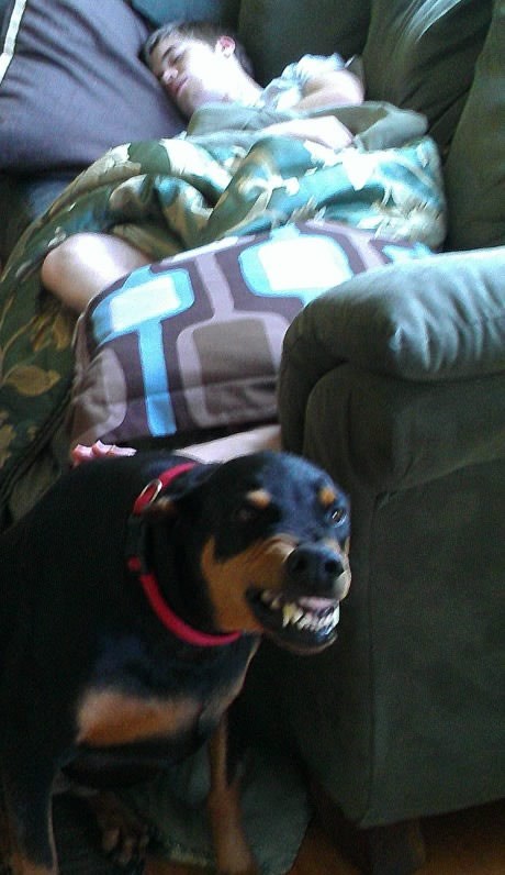 Odjebi, gazda spava, poješćutidušu!