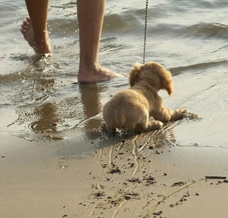 Ne ne ne ne ne ne ne ne ne ne ne ne ne ne...