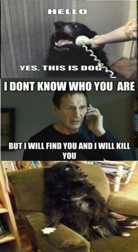 Liam Neeson prijeti psima