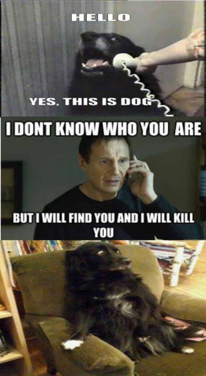 Liam Neeson prijeti psima