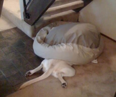 Neće njemu čovjek naređivat kak će spavat!