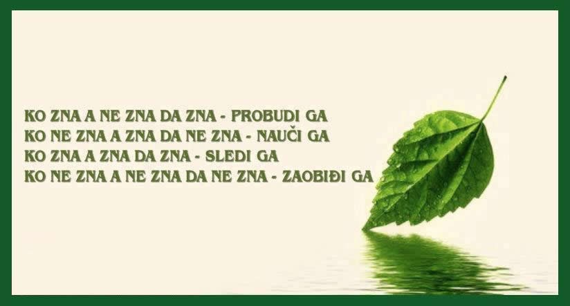 Pamet u glavu i zaobiđi budale u životu