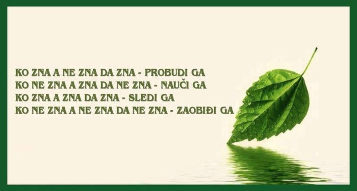 Pamet u glavu i zaobiđi budale u životu