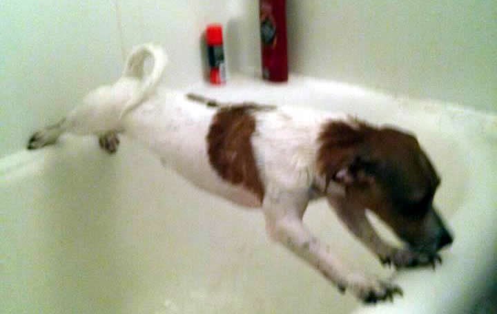 Nema šanse da ti živ uđem u kadu!