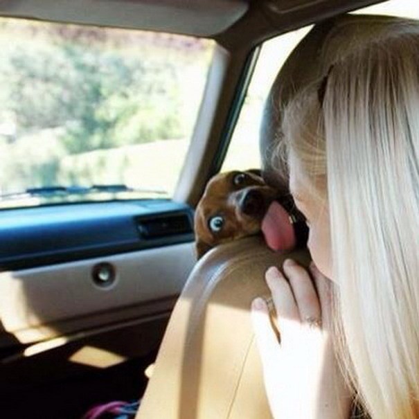 Ja sam naprijed, ja sam, beeeeeeeeelj