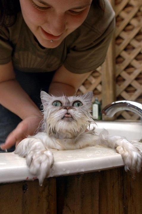 Bože, izbavi me iz ovog pakla čistoće!