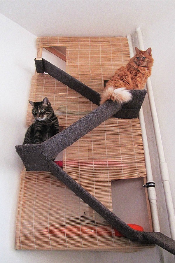 Mini neboder za mace