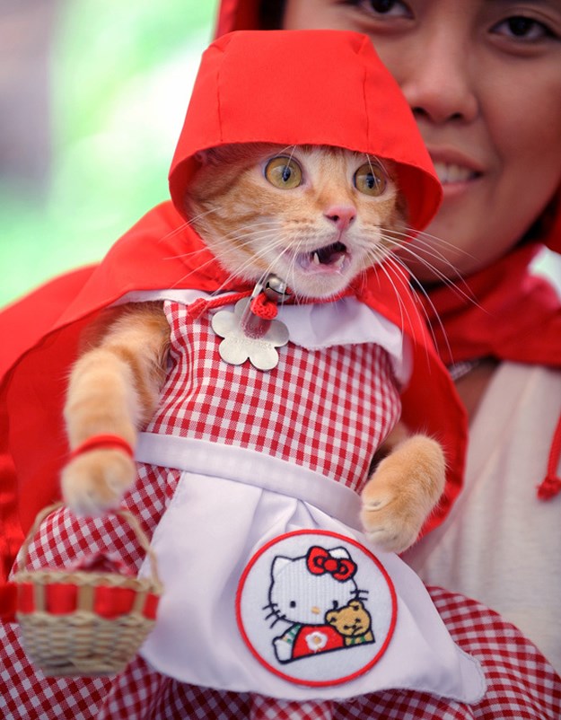 hello Kitty Crvenkapica