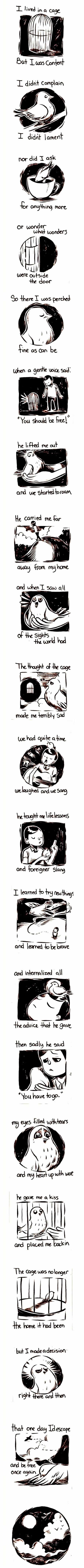 Ne drži ptičicu u kavezu kao roba, napravi joj kućicu u vrtu