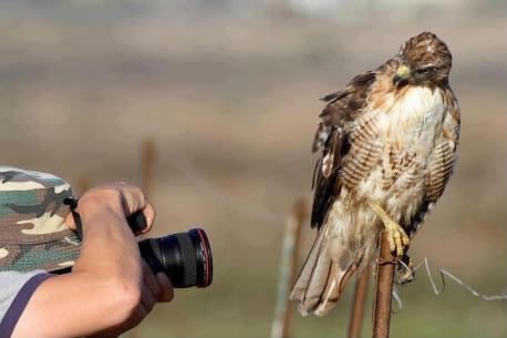 Jel ti to meni dupe fotkaš?