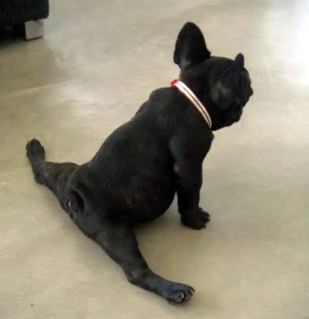 Prenemaže se sportskim duhom pred kujicama