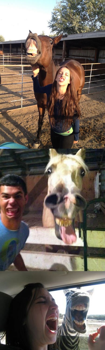 Nova pošast - horse face