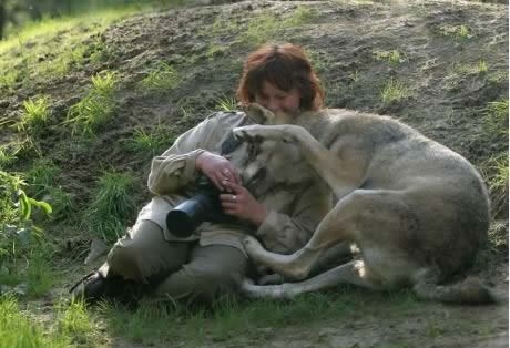 Vuk pristao na fotkanje, ali samo ako odobri radove