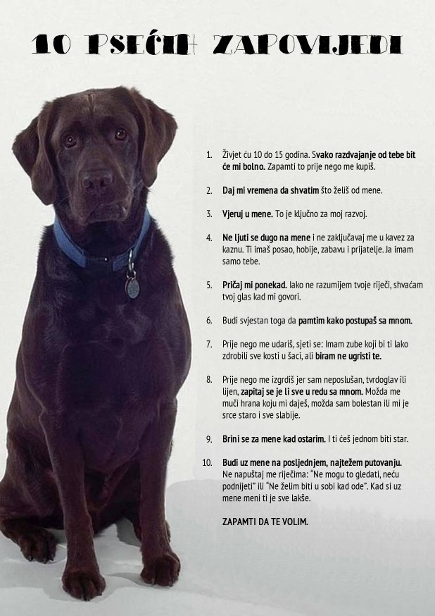 Deset psećih zapovijedi: Jednostavno, a znači im sve