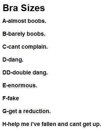 Mjerilo za početnike 