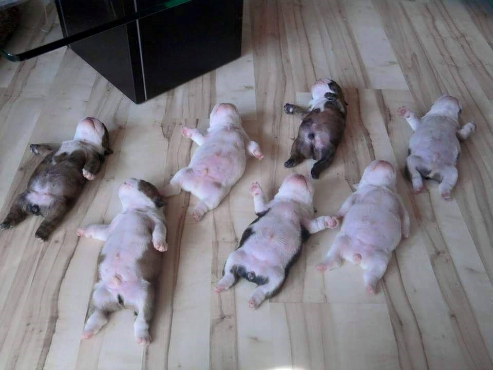 malo odmora u društvu..ili malo društvo u odmoru..ne znam, svejedno:)))..