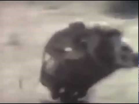 Preslagivanje vlade u petoj brzini...