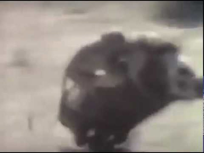 Preslagivanje vlade u petoj brzini...