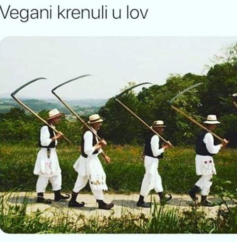 vegani.jpg