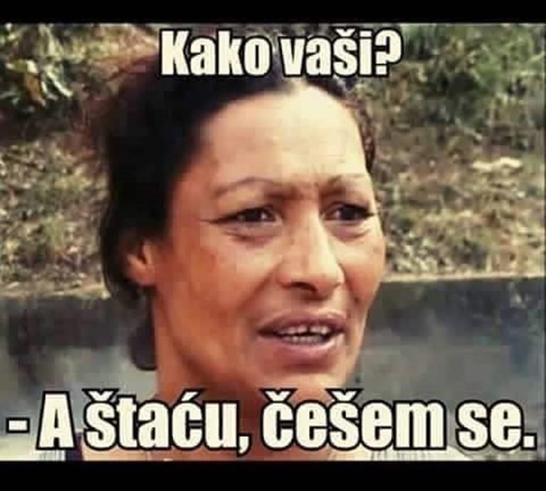 KakoVaši.jpg